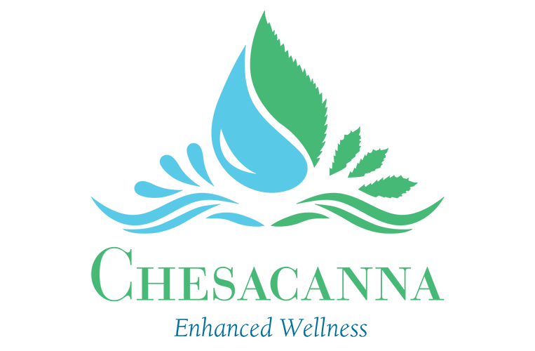 Chesacanna Acquisitions, Inc logo